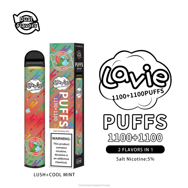 BJV0294 Lavie Vape Rendelés | buja/hűvös menta LAVIE BAR Switch 2200 fújás